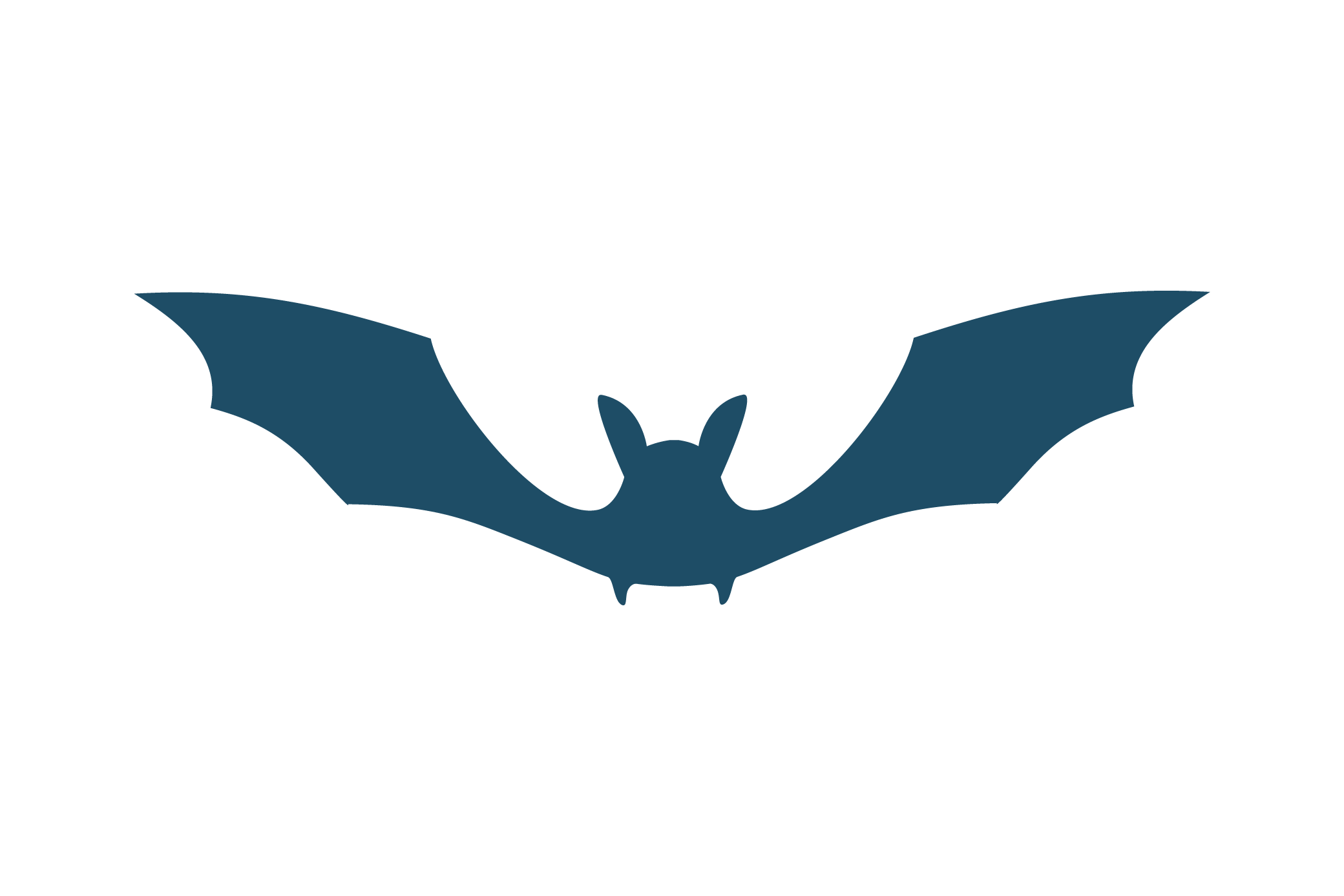 OPP-1655-Illus-chauve-souris-01