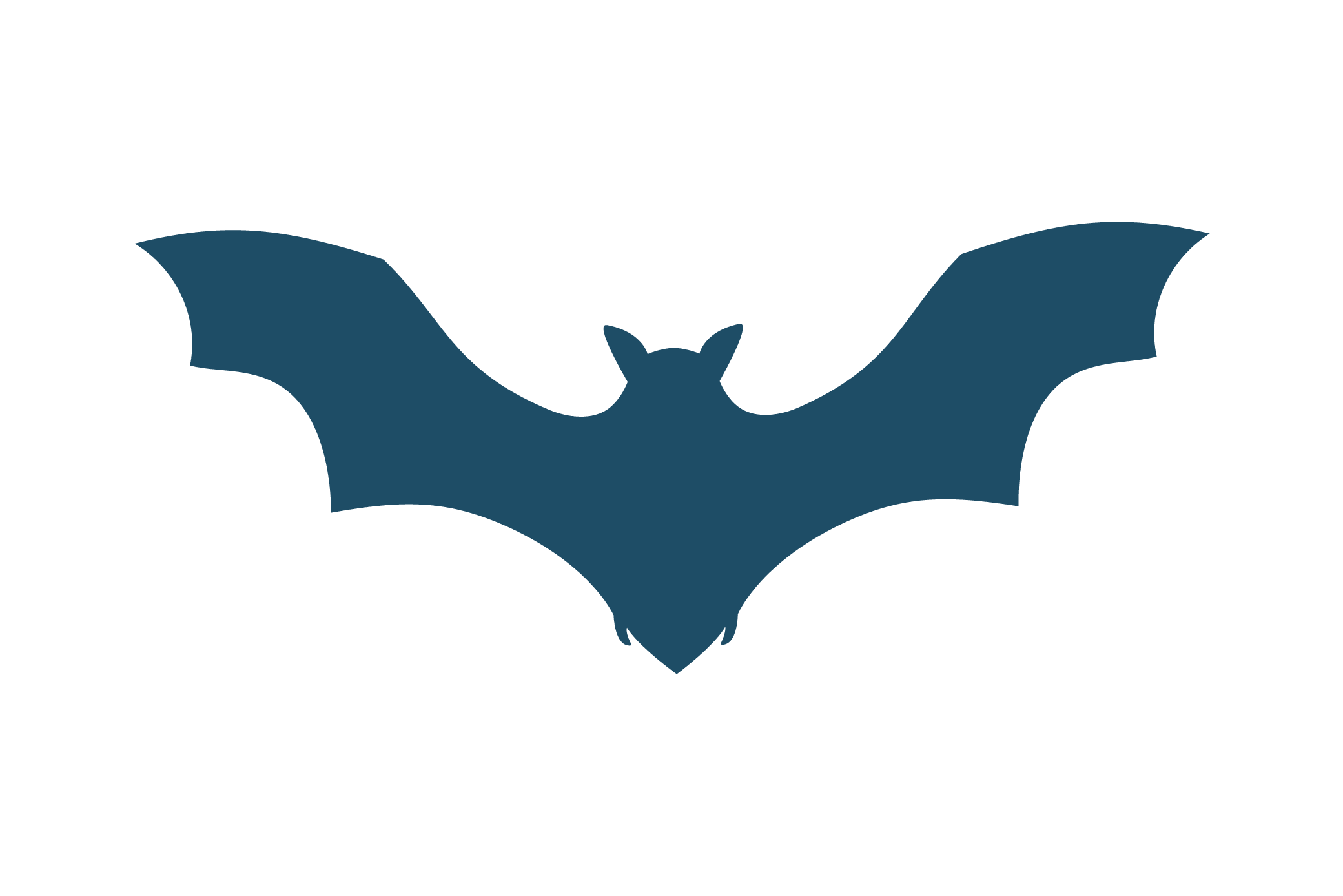 OPP-1655-Illus-chauve-souris-02